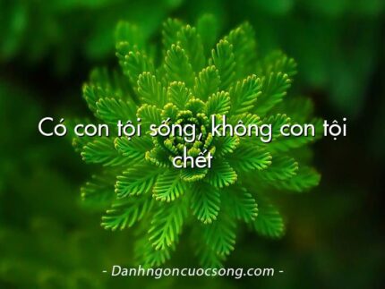 Có con tội sống, không con tội chết
