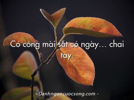 Có công mài sắt có ngày… chai tay.