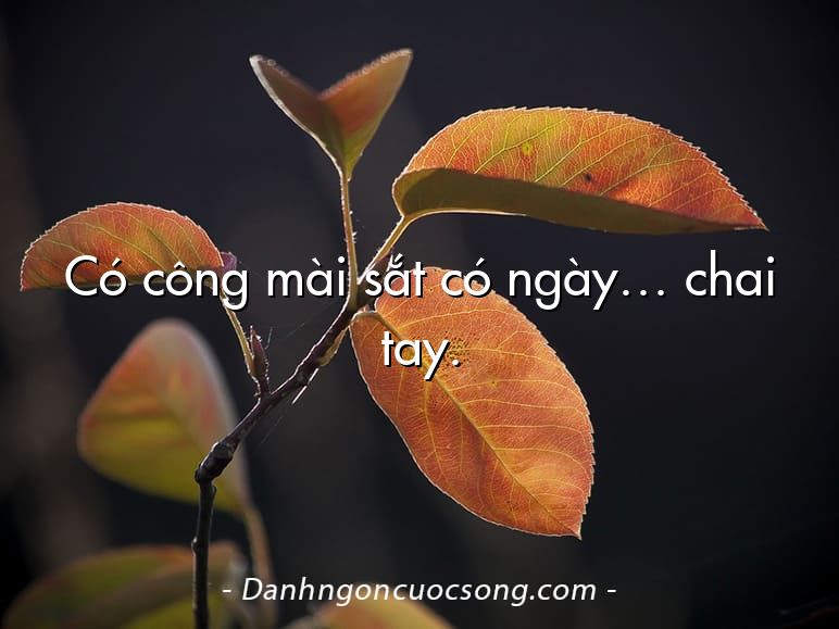 Có công mài sắt có ngày… chai tay.
