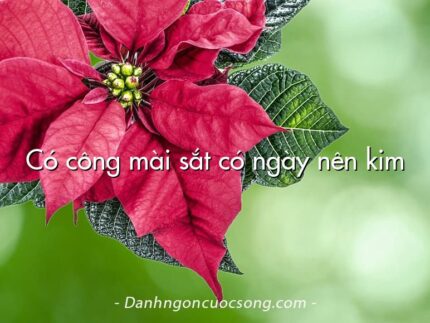 Có công mài sắt có ngày nên kim