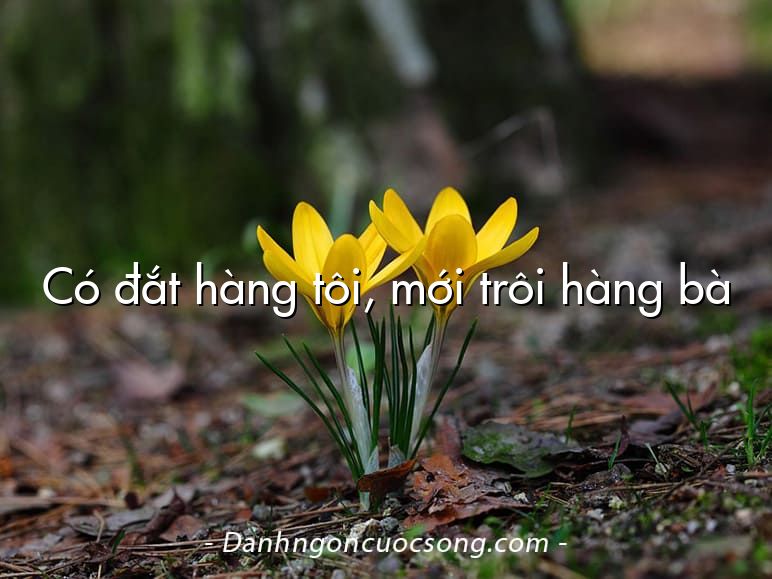 Có đắt hàng tôi, mới trôi hàng bà