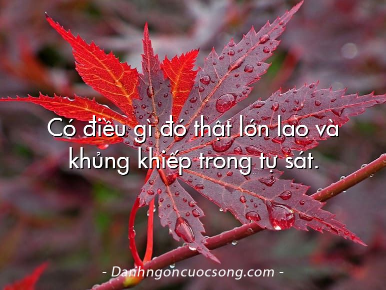Có điều gì đó thật lớn lao và khủng khiếp trong tự sát.