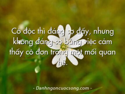 Cô độc thì đáng sợ đấy, nhưng không đáng sợ bằng việc cảm thấy cô đơn trong một mối quan hệ.