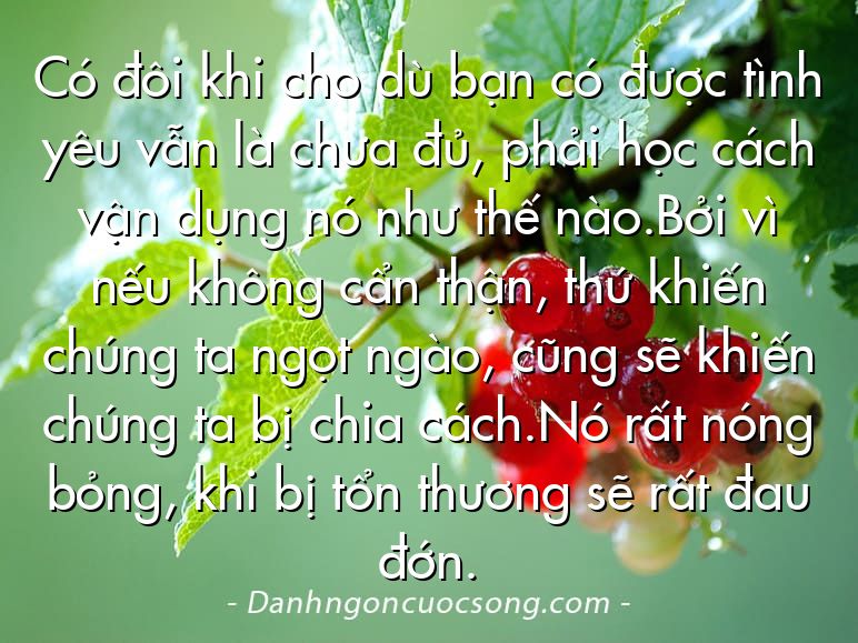 Có đôi khi cho dù bạn có được tình yêu vẫn là chưa đủ, phải học cách vận dụng nó như thế nào.Bởi vì nếu không cẩn thận, thứ khiến chúng ta ngọt ngào, cũng sẽ khiến chúng ta bị chia cách.Nó rất nóng bỏng, khi bị tổn thương sẽ rất đau đớn.