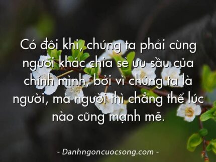 Có đôi khi, chúng ta phải cùng người khác chia sẻ ưu sầu của chính mình, bởi vì chúng ta là người, mà người thì chẳng thể lúc nào cũng mạnh mẽ.