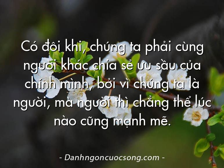 Có đôi khi, chúng ta phải cùng người khác chia sẻ ưu sầu của chính mình, bởi vì chúng ta là người, mà người thì chẳng thể lúc nào cũng mạnh mẽ.