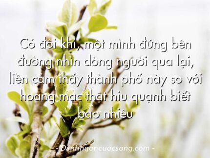 Có đôi khi, một mình đứng bên đường nhìn dòng người qua lại, liền cảm thấy thành phố này so với hoang mạc thật hiu quạnh biết bao nhiêu