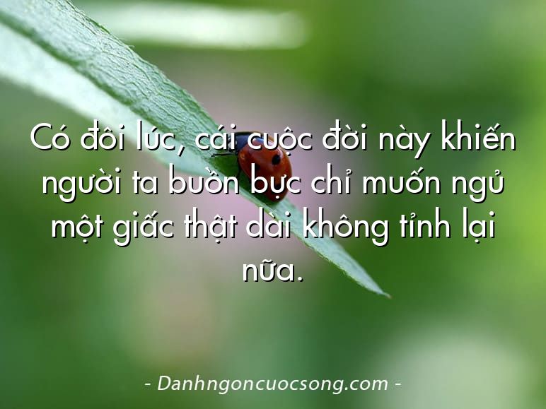 Có đôi lúc, cái cuộc đời này khiến người ta buồn bực chỉ muốn ngủ một giấc thật dài không tỉnh lại nữa.