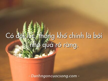 Có đôi lúc, thống khổ chính là bởi nhớ quá rõ ràng.