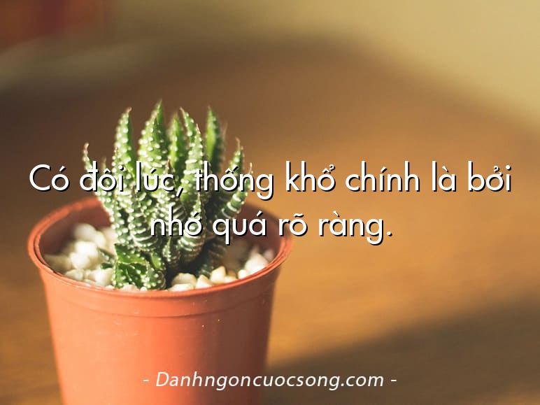 Có đôi lúc, thống khổ chính là bởi nhớ quá rõ ràng.