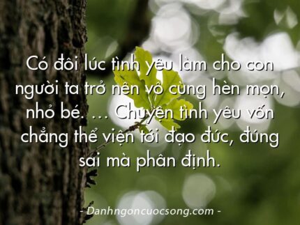 Có đôi lúc tình yêu làm cho con người ta trở nên vô cùng hèn mọn, nhỏ bé. … Chuyện tình yêu vốn chẳng thể viện tới đạo đức, đúng sai mà phân định.