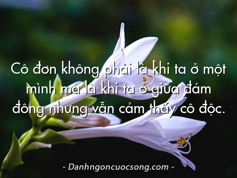 Cô đơn không phải là khi ta ở một mình mà là khi ta ở giữa đám đông nhưng vẫn cảm thấy cô độc.