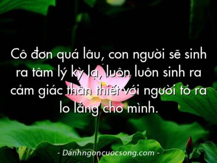 Cô đơn quá lâu, con người sẽ sinh ra tâm lý kỳ lạ, luôn luôn sinh ra cảm giác thân thiết với người tỏ ra lo lắng cho mình.