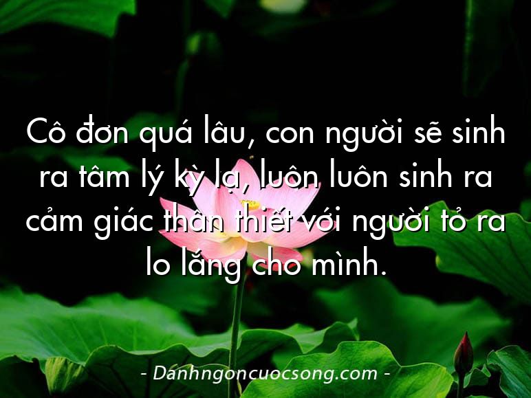 Cô đơn quá lâu, con người sẽ sinh ra tâm lý kỳ lạ, luôn luôn sinh ra cảm giác thân thiết với người tỏ ra lo lắng cho mình.
