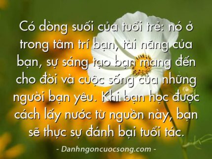 Có dòng suối của tuổi trẻ: nó ở trong tâm trí bạn, tài năng của bạn, sự sáng tạo bạn mang đến cho đời và cuộc sống của những người bạn yêu. Khi bạn học được cách lấy nước từ nguồn này, bạn sẽ thực sự đánh bại tuổi tác.