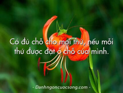 Có đủ chỗ cho mọi thứ, nếu mỗi thứ được đặt ở chỗ của mình.