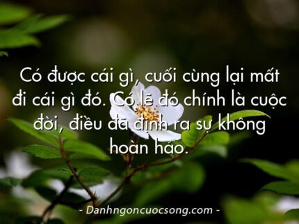 Có được cái gì, cuối cùng lại mất đi cái gì đó. Có lẽ đó chính là cuộc đời, điều đã định ra sự không hoàn hảo.