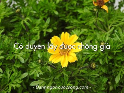 Có duyên lấy được chồng già