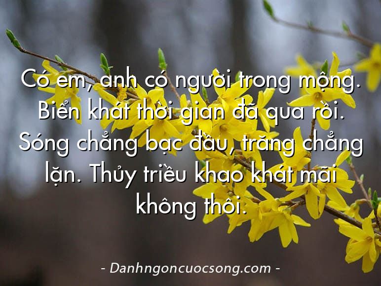 Có em, anh có người trong mộng. Biển khát thời gian đã qua rồi. Sóng chẳng bạc đầu, trăng chẳng lặn. Thủy triều khao khát mãi không thôi.