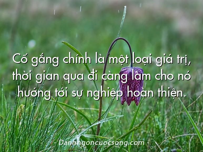 Cố gắng chính là một loại giá trị, thời gian qua đi càng làm cho nó hướng tới sự nghiệp hoàn thiện.