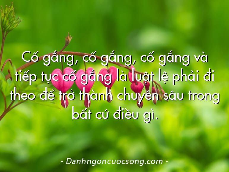 Cố gắng, cố gắng, cố gắng và tiếp tục cố gắng là luật lệ phải đi theo để trở thành chuyên sâu trong bất cứ điều gì.