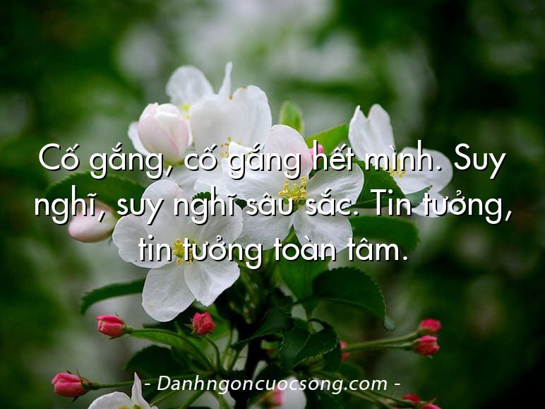 Cố gắng, cố gắng hết mình. Suy nghĩ, suy nghĩ sâu sắc. Tin tưởng, tin tưởng toàn tâm.