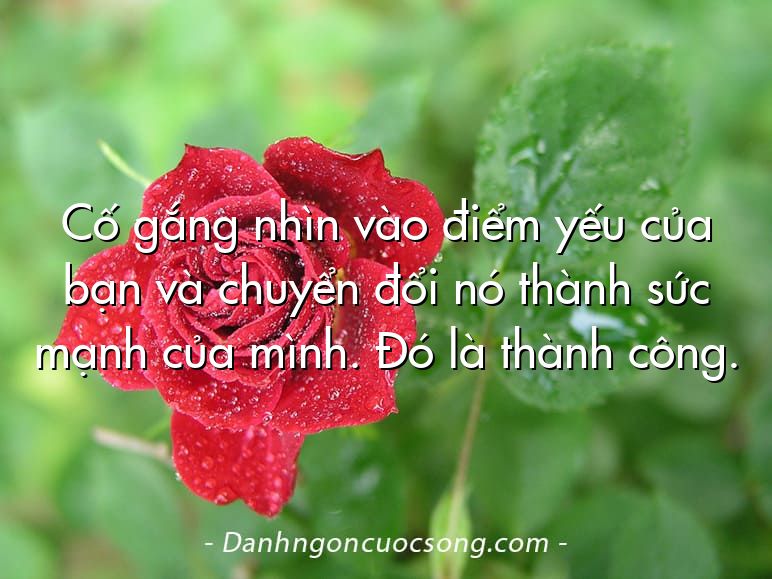 Cố gắng nhìn vào điểm yếu của bạn và chuyển đổi nó thành sức mạnh của mình. Đó là thành công.