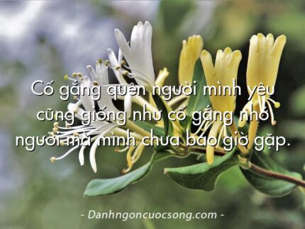Cố gắng quên người mình yêu cũng giống như cố gắng nhớ người mà mình chưa bao giờ gặp.