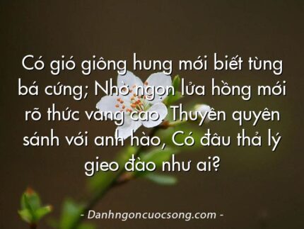 Có gió giông hung mới biết tùng bá cứng; Nhờ ngọn lửa hồng mới rõ thức vàng cao. Thuyền quyên sánh với anh hào, Có đâu thả lý gieo đào như ai?