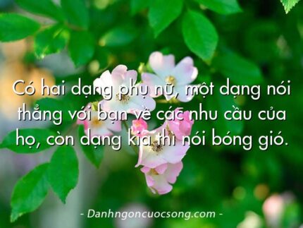 Có hai dạng phụ nữ, một dạng nói thẳng với bạn về các nhu cầu của họ, còn dạng kia thì nói bóng gió.