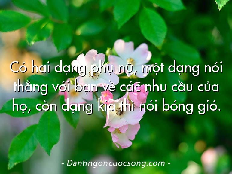 Có hai dạng phụ nữ, một dạng nói thẳng với bạn về các nhu cầu của họ, còn dạng kia thì nói bóng gió.