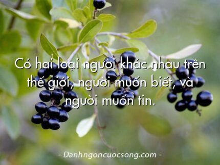 Có hai loại người khác nhau trên thế giới, người muốn biết, và người muốn tin.
