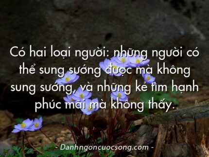 Có hai loại người: những người có thể sung sướng được mà không sung sướng, và những kẻ tìm hạnh phúc mãi mà không thấy.