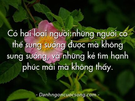 Có hai loại người:những người có thể sung sướng được mà không sung sướng, và những kẻ tìm hạnh phúc mãi mà không thấy.