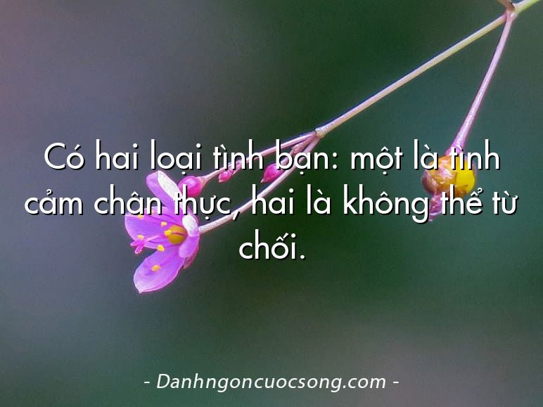 Có hai loại tình bạn: một là tình cảm chân thực, hai là không thể từ chối.