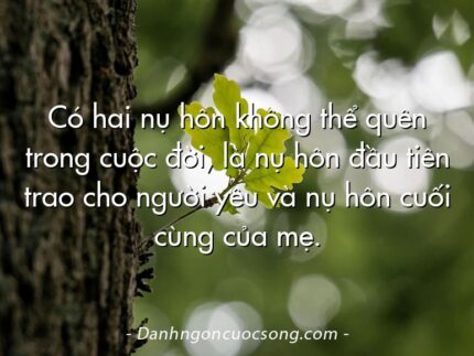 Có hai nụ hôn không thể quên trong cuộc đời, là nụ hôn đầu tiên trao cho người yêu và nụ hôn cuối cùng của mẹ.