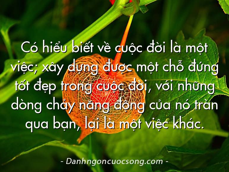 Có hiểu biết về cuộc đời là một việc; xây dựng được một chỗ đứng tốt đẹp trong cuộc đời, với những dòng chảy năng động của nó tràn qua bạn, lại là một việc khác.
