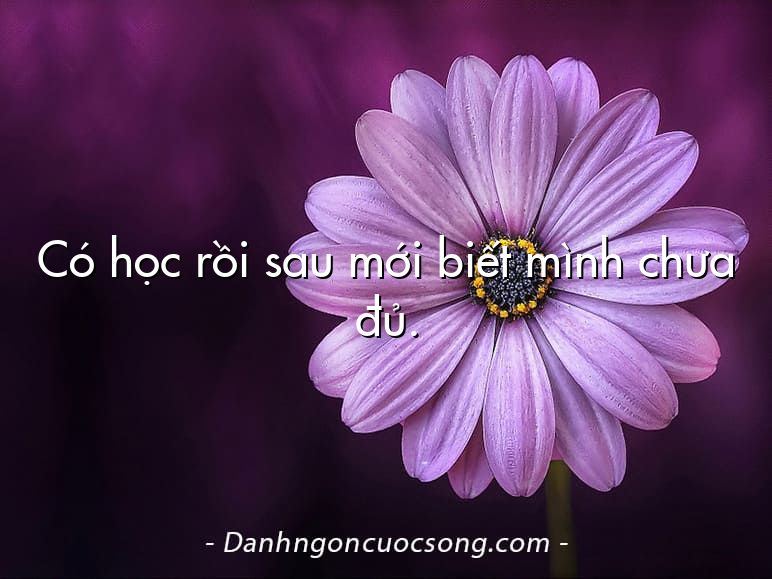 Có học rồi sau mới biết mình chưa đủ.