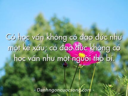 Có học vấn không có đạo đức như một kẻ xấu; có đạo đức không có học vấn như một người thô bỉ.