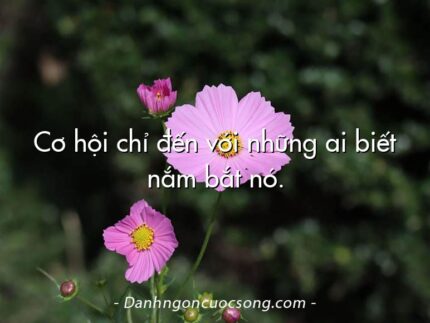 Cơ hội chỉ đến với những ai biết nắm bắt nó.