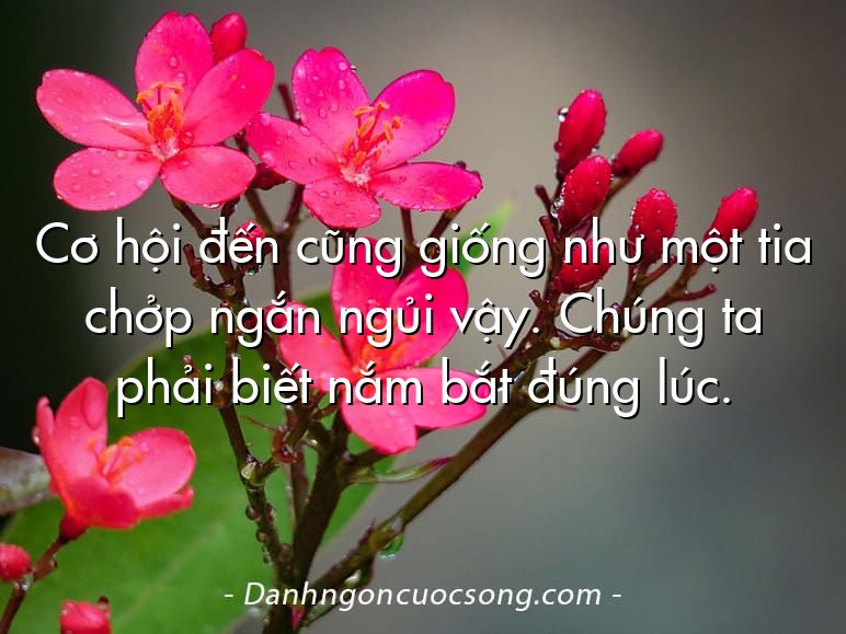 Cơ hội đến cũng giống như một tia chởp ngắn ngủi vậy. Chúng ta phải biết nắm bắt đúng lúc.