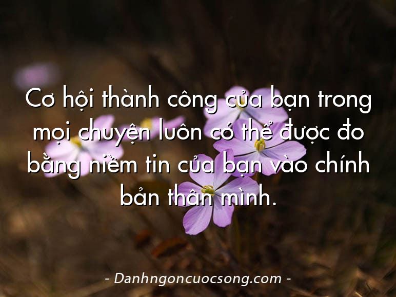 Cơ hội thành công của bạn trong mọi chuyện luôn có thể được đo bằng niềm tin của bạn vào chính bản thân mình.