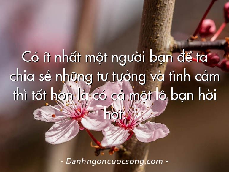 Có ít nhất một người bạn để ta chia sẻ những tư tưởng và tình cảm thì tốt hơn là có cả một lô bạn hời hợt.