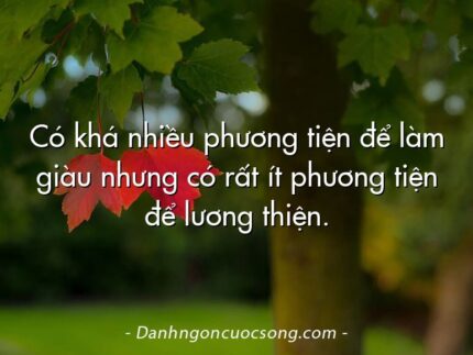 Có khá nhiều phương tiện để làm giàu nhưng có rất ít phương tiện để lương thiện.