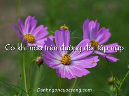 Có khi nào trên đường đời tấp nập
