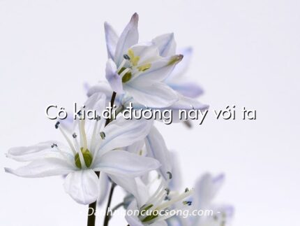 Cô kia đi đường này với ta