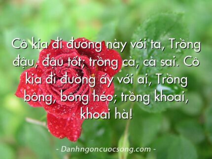 Cô kia đi đường này với ta, Trồng đậu, đậu tốt; trồng cà, cà sai. Cô kia đi đường ấy với ai, Trồng bông, bông héo; trồng khoai, khoai hà!