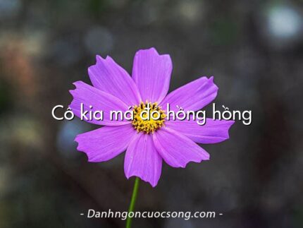 Cô kia má đỏ hồng hồng