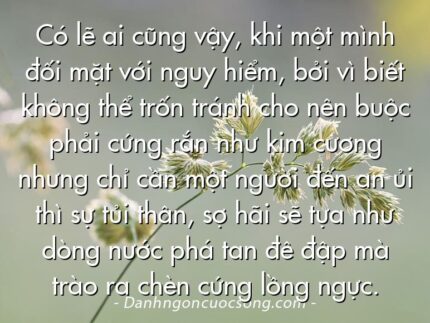 Có lẽ ai cũng vậy, khi một mình đối mặt với nguy hiểm, bởi vì biết không thể trốn tránh cho nên buộc phải cứng rắn như kim cương nhưng chỉ cần một người đến an ủi thì sự tủi thân, sợ hãi sẽ tựa như dòng nước phá tan đê đập mà trào ra chèn cứng lồng ngực.