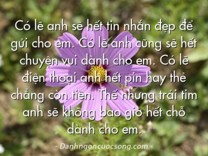 Có lẽ anh sẽ hết tin nhắn đẹp để gửi cho em. Có lẽ anh cũng sẽ hết chuyện vui dành cho em. Có lẽ điện thoại anh hết pin hay thẻ chẳng còn tiền. Thế nhưng trái tim anh sẽ không bao giờ hết chỗ dành cho em.